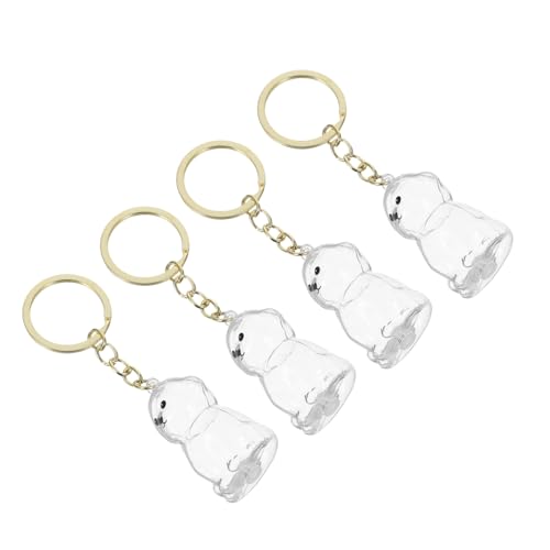 CHICAMPERA 4 Stück Transparente Haustierhaar Aufbewahrungsboxen als Schlüsselanhänger Stilvoller Hund und Katzen Gedenkschmuck zur Erinnerung Leicht Tragbar für Tägliche Nutzung und Reisen von CHICAMPERA