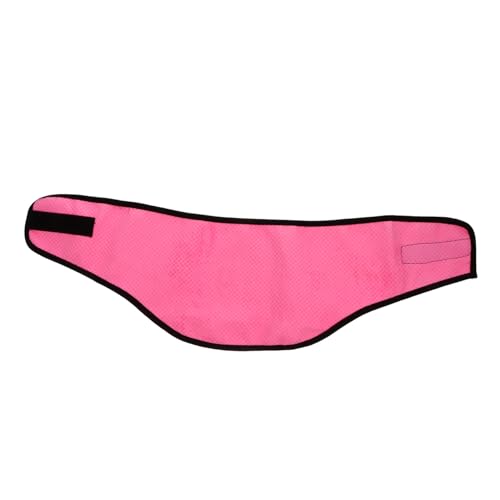 CHICAMPERA Kühlendes Hundehalstuch aus Atmungsaktivem Leichtem für Mittlere Hunde Kühlendes Sommer schal hundezubehör für Spaziergänge Joggen und Outdoor aktivitäten bei Hitze CHICAMPERA Kühlendes Hundehalstuch aus Atmungsaktivem Leichtem für Mittlere Hunde Kühlendes Sommer schal hundezubehör für Spaziergänge Joggen und Outdoor aktivitäten bei Hitze von CHICAMPERA