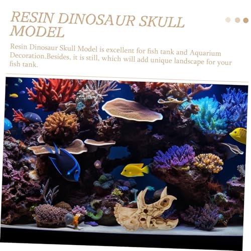 CHICAMPERA Resin Dinosaurier Schädel Höhle Aquarium Versteck Ornament Realistische Terrarium Dekoration Hochwertiges Harz Reptiliensicher Robust und Pflegeleicht Geeignet für Fisch von CHICAMPERA