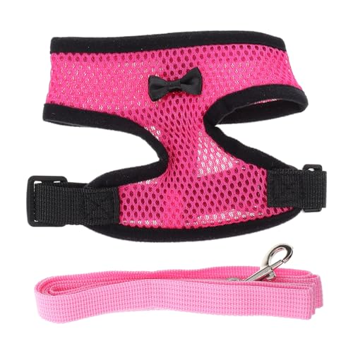 CHICAMPERA Verstellbares Hühnergeschirr mit Leine für Hühner Enten Gänse Atmungsaktive Komfortable Netzweste mit Modischem Schmetterlingsdetail Geeignet für Outdoor spaziergänge und CHICAMPERA Verstellbares Hühnergeschirr mit Leine für Hühner Enten Gänse Atmungsaktive Komfortable Netzweste mit Modischem Schmetterlingsdetail Geeignet für Outdoor spaziergänge und von CHICAMPERA