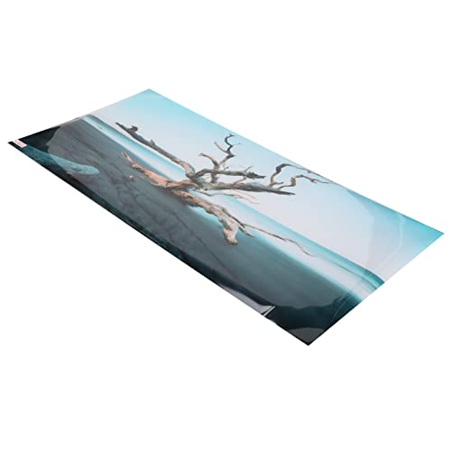 CHICIRIS Aquarium-Hintergrund-Dekoration, Hochtransparentes, Wasserdichtes Hintergrund-Poster für Aquarien, Selbstklebend für Aquarien (61 * 30 cm) von CHICIRIS