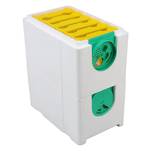 CHICIRIS Bienenkönigin-Zuchtbox, Doppelschicht-Bienenkönigin, Paarungsbienenstock, Mini-Bienenaufzucht-Nuk-Box für Imkereibedarf, 11,4 X 9,4 X 5,9 Zoll von CHICIRIS