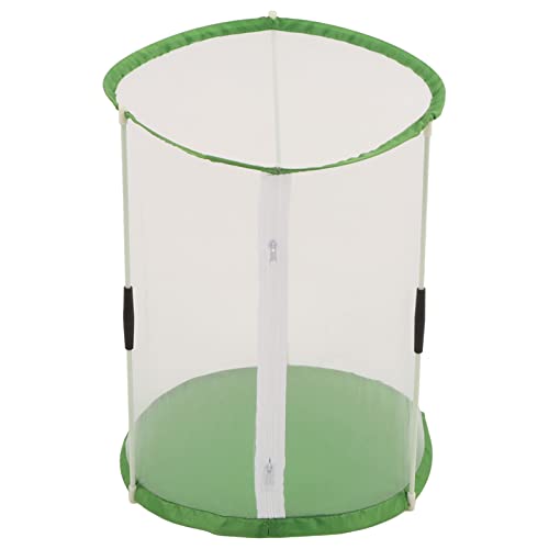 CHICIRIS Butterfly Habitat, Transparenter Monarch-Schmetterlings-Insektenkäfig, Zusammenklappbares Zylindrisches Schmetterlingsgehäuse für Drinnen und Draußen, 12,4 X 12,4 X 15,7 Zoll CHICIRIS Butterfly Habitat, Transparenter Monarch-Schmetterlings-Insektenkäfig, Zusammenklappbares Zylindrisches Schmetterlingsgehäuse für Drinnen und Draußen, 12,4 X 12,4 X 15,7 Zoll von CHICIRIS