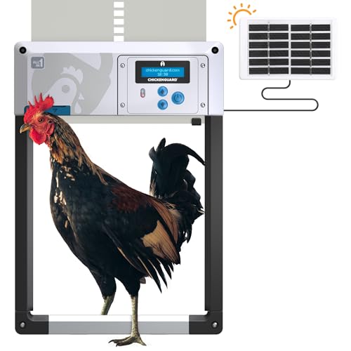 Hühnerklappe Automatisch ChickenGuard All-in-One, Hühnerstalltürfarben in Vier Farben, Timer/Lichtsensor, Auto-Stop, Raubtiersicher, Wintermodus-Power-Boost, Batterien Enthalten (Grau Solar) von CHICKENGUARD