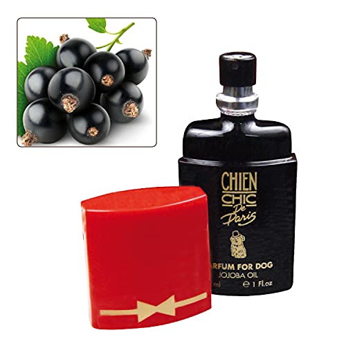 CHIEN CHIC - AS00231 Parfüm Currant von CHIEN CHIC