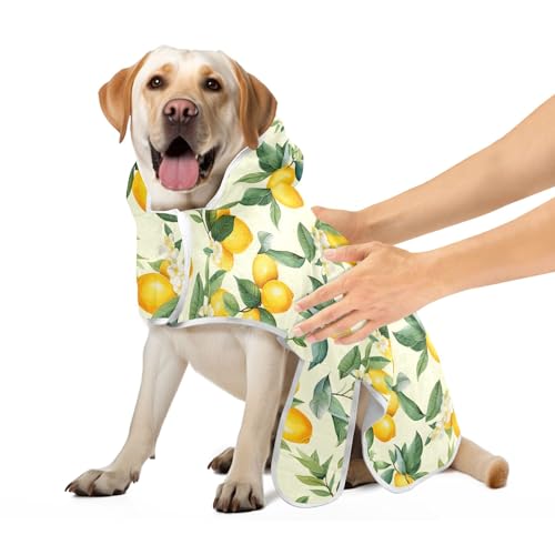 Frische Zitronengrüne Blätter Hundemantel Saugfähig Schnell Trocknend Hund Strandtuch Verstellbarer Kragen & Bauchgurt Haustier Hund Handtücher, M Frische Zitronengrüne Blätter Hundemantel Saugfähig Schnell Trocknend Hund Strandtuch Verstellbarer Kragen & Bauchgurt Haustier Hund Handtücher, M von CHIFIGNO