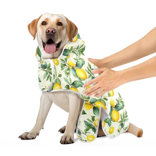 Hundemantel Vintage Zitronengrüne Blätter Hund Strandtuch Leicht Schnell Trocknend Hundebademantel zum Trocknen von Hunden Verstellbarer Kragen & Bauchgurt, M Hundemantel Vintage Zitronengrüne Blätter Hund Strandtuch Leicht Schnell Trocknend Hundebademantel zum Trocknen von Hunden Verstellbarer Kragen & Bauchgurt, M von CHIFIGNO