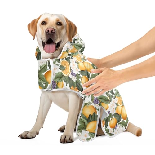 Orange Zitrus mit Blumen Hundebademantel Leicht Schnell Trocknend Hundebadetücher Verstellbarer Kragen & Bauchgurt Hundebadezubehör M Orange Zitrus mit Blumen Hundebademantel Leicht Schnell Trocknend Hundebadetücher Verstellbarer Kragen & Bauchgurt Hundebadezubehör M von CHIFIGNO