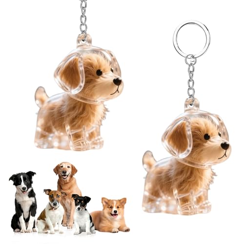 CHIHOLEN 2 Stück Schlüsselanhänger für Hundehaarsammler, DIY Hundehaar-Anhänger, Hundehaar-Halter, Transparente Hundehaaraufbewahrungskapseln, kreative Gedenkgeschenke für Tierliebhaber(A) von CHIHOLEN