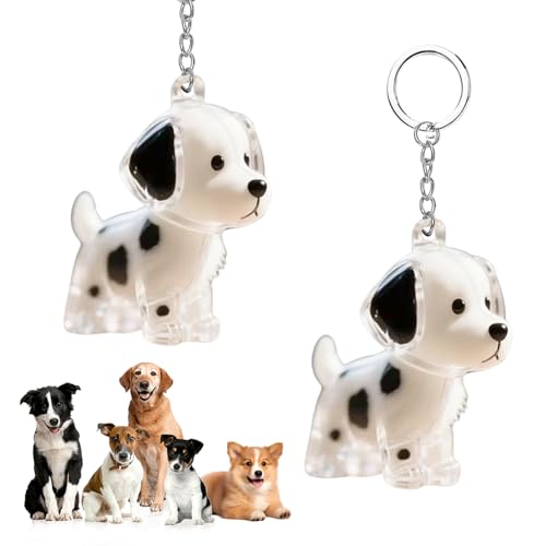CHIHOLEN 2 Stück Schlüsselanhänger für Hundehaarsammler, DIY Hundehaar-Anhänger, Hundehaar-Halter, Transparente Hundehaaraufbewahrungskapseln, kreative Gedenkgeschenke für Tierliebhaber(B) von CHIHOLEN