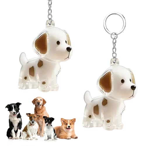 CHIHOLEN 2 Stück Schlüsselanhänger für Hundehaarsammler, DIY Hundehaar-Anhänger, Hundehaar-Halter, Transparente Hundehaaraufbewahrungskapseln, kreative Gedenkgeschenke für Tierliebhaber(C) von CHIHOLEN