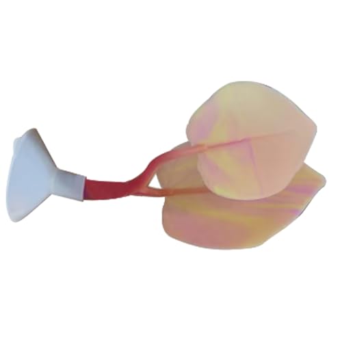 CHIZISX Aquarium Decors Pflanzenverzierungen Farbenfrohe Wasserpflanzentanks Landschaftsbau Bunte Künstliche Blätter Aussehen Aquariumdekorationen CHIZISX Aquarium Decors Pflanzenverzierungen Farbenfrohe Wasserpflanzentanks Landschaftsbau Bunte Künstliche Blätter Aussehen Aquariumdekorationen von CHIZISX
