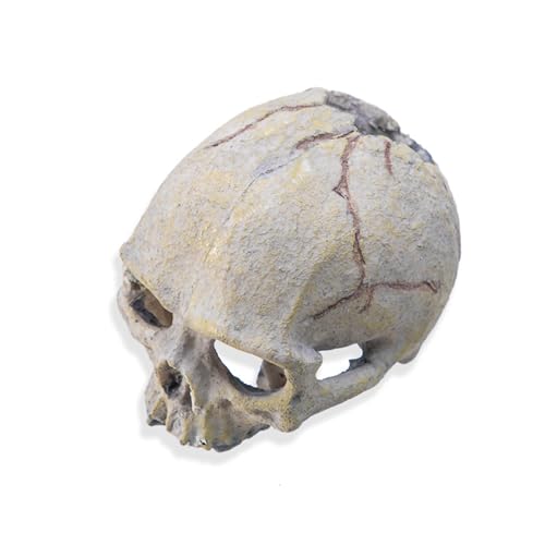 CHIZISX Harzschädel Reptilien Schutzhöhle Terrarien Accessoires Für Amphibien Bärtige Drachen Schlange Versteck Höhle Höhle von CHIZISX