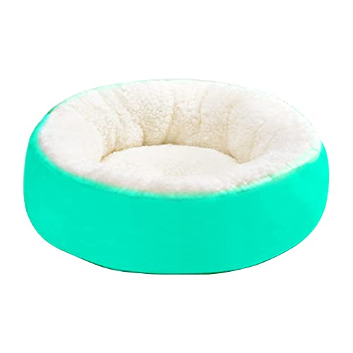 CHIZISX Katzenbett, weiches Plüsch-Haustierbett oder kleines Hundebett, selbstwärmend, für Herbst und Winter CHIZISX Katzenbett, weiches Plüsch-Haustierbett oder kleines Hundebett, selbstwärmend, für Herbst und Winter von CHIZISX
