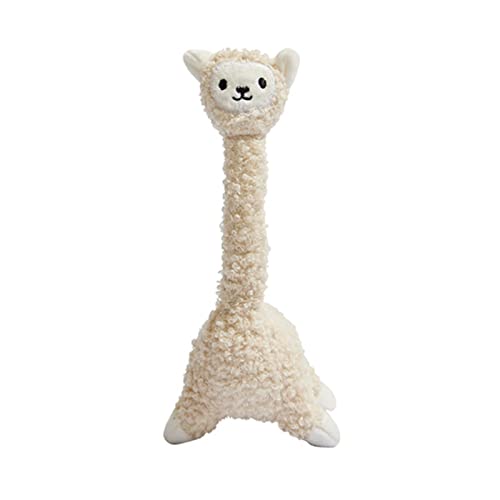 CHIZISX Katzenspielzeug, Kauspielzeug für Katzen, Plüsch, Backenzähne für Kätzchen, natürliches Spielzeug, Katzenspielzeug, interaktives Langeweile, Jagdspielzeug CHIZISX Katzenspielzeug, Kauspielzeug für Katzen, Plüsch, Backenzähne für Kätzchen, natürliches Spielzeug, Katzenspielzeug, interaktives Langeweile, Jagdspielzeug von CHIZISX