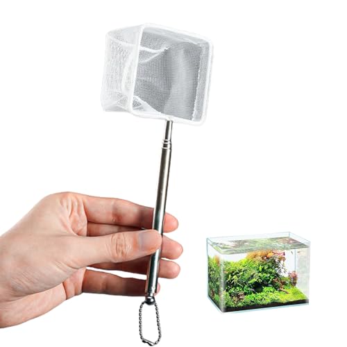 CHIZISX Mehrnutzungsfischfischfischereinetz Mit Schlupfhaltigem Flexibler Edelstahlgriff Mit Feinem Edelstahlfisch CHIZISX Mehrnutzungsfischfischfischereinetz Mit Schlupfhaltigem Flexibler Edelstahlgriff Mit Feinem Edelstahlfisch von CHIZISX