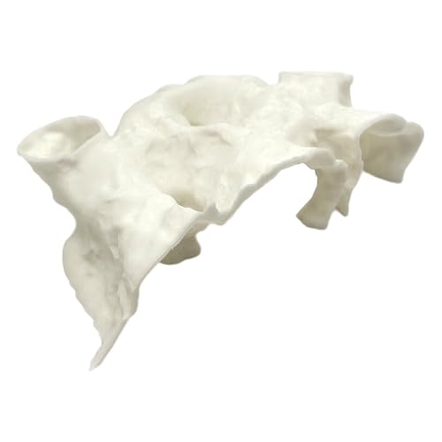 CHIZISX PETG Fisch-Garnelen-Unterschlupf, Höhle mit mehreren Eingängen, Dekoration für Territoriale Arten, Lebensraumverbesserung und Stressabbau, Betta-Fischversteckhaus von CHIZISX