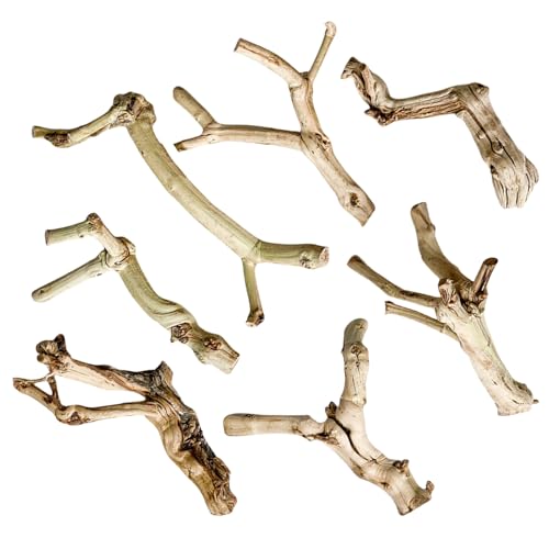 CHIZISX Stamm Treibholz für Eidechsen für Terrarien Reptilien Holz Stamm Höhle Amphibien Reptilien Aquarium Dekorationen CHIZISX Stamm Treibholz für Eidechsen für Terrarien Reptilien Holz Stamm Höhle Amphibien Reptilien Aquarium Dekorationen von CHIZISX