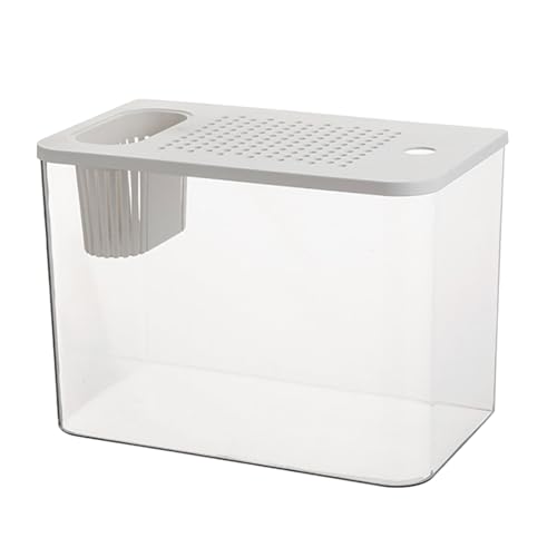 Klare Fischtanks Mit Sicherem Deckel Und Wasserpflanzenhalter Für Goldfische Home Desktop Dekoration Aquarien Tanks Fischschale von CHIZISX