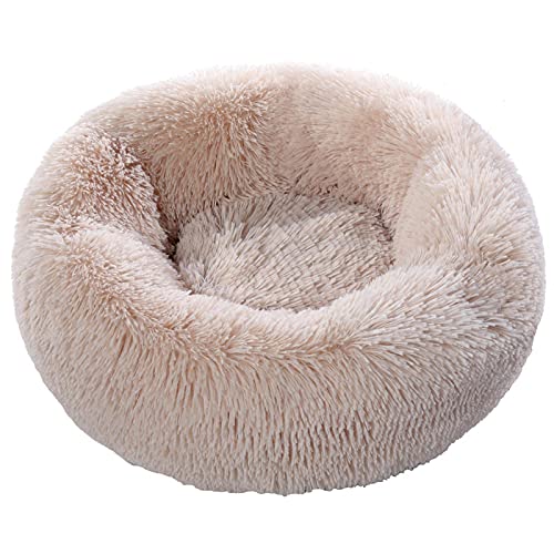 CHNNO1 40/60/80/100 cm rundes Kissen für Welpen, superweiches Plüschkissen, tragbares Tierschlafzubehör, Katzen-Winter-Wärmebett, 40 cm, Beige CHNNO1 40/60/80/100 cm rundes Kissen für Welpen, superweiches Plüschkissen, tragbares Tierschlafzubehör, Katzen-Winter-Wärmebett, 40 cm, Beige von CHNNO1