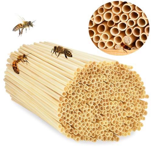 500 STK Nisthülsen für Insektenhotel, 14.5 cm lang Nisthülsen für Wildbienen, Insektenhotel Füllmaterial Wildbienen Zubehör, Weizenhalme Füllung für Wildbienenhotel, Bienenhotel Nisthilfen Bienenhaus 500 STK Nisthülsen für Insektenhotel, 14.5 cm lang Nisthülsen für Wildbienen, Insektenhotel Füllmaterial Wildbienen Zubehör, Weizenhalme Füllung für Wildbienenhotel, Bienenhotel Nisthilfen Bienenhaus von CHONGQILAO