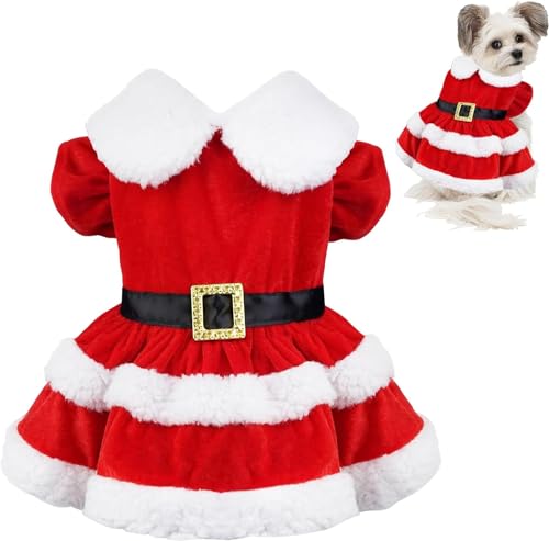 Hundekostüm Weihnachten, Hunde Weihnachtskostüm, Rot Weihnachtskostüm Hund, Haustier Weihnachtskostüm Größe M, Weihnachtskleidung Hund, Weihnachtsoutfit Hund für Kleine Mittelgroße Hunde Hundekostüm Weihnachten, Hunde Weihnachtskostüm, Rot Weihnachtskostüm Hund, Haustier Weihnachtskostüm Größe M, Weihnachtskleidung Hund, Weihnachtsoutfit Hund für Kleine Mittelgroße Hunde von CHONGQILAO