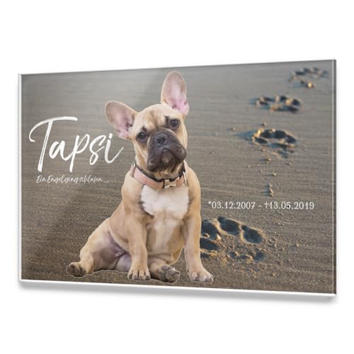CHRISCK design Premium Tier Grabstein aus edlem Hochglanz Acrylglas | 100% witterungsbeständig Grabplatten mit Foto Bild UV Druck 30x20 cm Gedenktafel für Haustiere Hunde Hund Katze CHRISCK design Premium Tier Grabstein aus edlem Hochglanz Acrylglas | 100% witterungsbeständig Grabplatten mit Foto Bild UV Druck 30x20 cm Gedenktafel für Haustiere Hunde Hund Katze von CHRISCK design