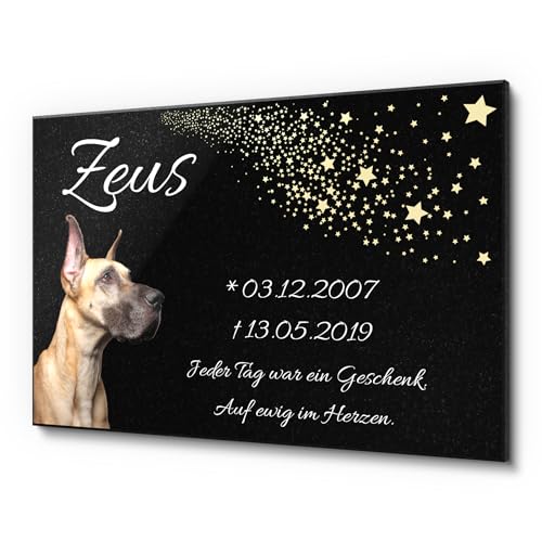 Grabplatte für Hunde aus edlem Granit - schwarz glitzernd! Gedenkstein Hund mit Foto und Sternen Motiv | Einzigartige Hundegrab Deko | Wetterfester, personalisierter Tiergrabstein - 30x20 cm Grabplatte für Hunde aus edlem Granit - schwarz glitzernd! Gedenkstein Hund mit Foto und Sternen Motiv | Einzigartige Hundegrab Deko | Wetterfester, personalisierter Tiergrabstein - 30x20 cm von CHRISCK design
