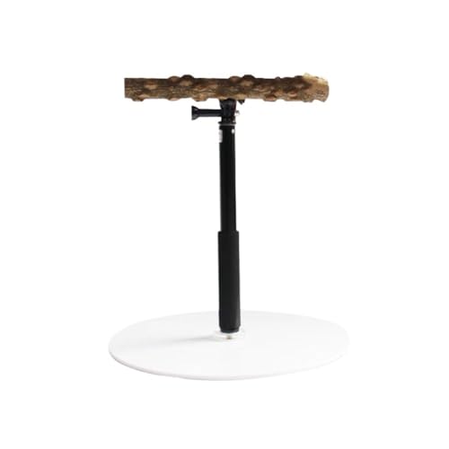 Einstellbare Höhe Papagei Barsch T Stehen Papagei Training Spielen Stand Plattform Tragbare Käfig Vogel Barsch Stehen for Fink para Einstellbare Höhe Papagei Barsch T Stehen Papagei Training Spielen Stand Plattform Tragbare Käfig Vogel Barsch Stehen for Fink para von CHRISK