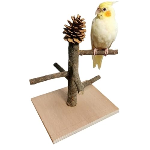 Massivholz Papageienständer Training Vogel Papagei Spielzeug Desktop-Trainingsständer Pole Interaktiver Spielplatz Kleine Haustierbedarf (Color : C) von CHRISK