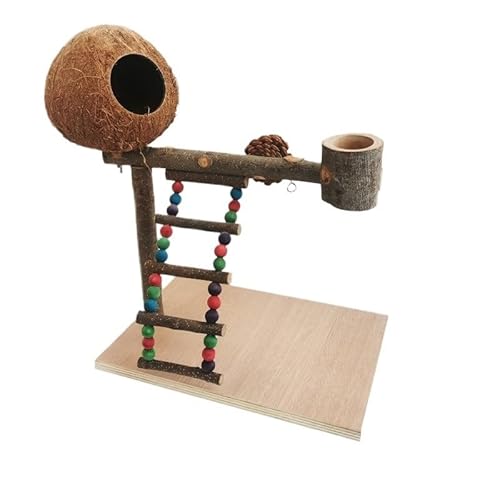 Papageienständer aus Massivholz Training Vogel Papageien Spielzeug Desktop Trainingsständer Pole Interaktiver Spielplatz Kleine Haustierbedarf (Farbe: F) von CHRISK