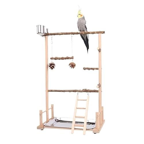 Vogelschaukel Spielzeug Holz Papagei Sitzstange Ständer Spielplatz mit Kauperlen Käfig Spielplatz Vogelschaukel Spielzeug Holz Papagei Barsch (Farbe: 36x23x57cm-01) von CHRISK