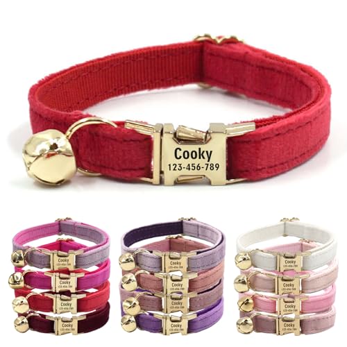 CHRYMPETIC Katzenhalsband aus Samt mit Namen, personalisierbares Katzenhalsband mit Glöckchen, Leine und Fliege erhältlich (rot) von CHRYMPETIC