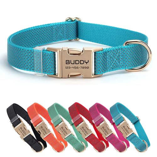 Nylon personalisiertes Haustierhalsband mit Namen, anpassbar lasergraviert, Ultra-reflektierendes Punktdesign, langlebige Metallschnalle für Hunde und Katzen - Passende Leine erhältlich (Blau) von CHRYMPETIC