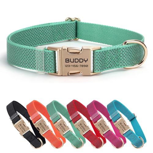 Nylon personalisiertes Haustierhalsband mit Namen, anpassbar lasergraviert, Ultra-reflektierendes Punktdesign, langlebige Metallschnalle für Hunde und Katzen - Passende Leine erhältlich (Grün) von CHRYMPETIC