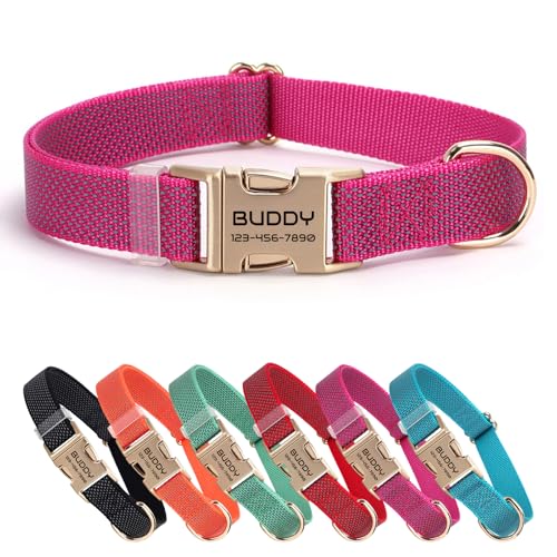 Nylon personalisiertes Haustierhalsband mit Namen, anpassbar lasergraviert, Ultra-reflektierendes Punktdesign, langlebige Metallschnalle für Hunde und Katzen - Passende Leine erhältlich (Rosé) von CHRYMPETIC