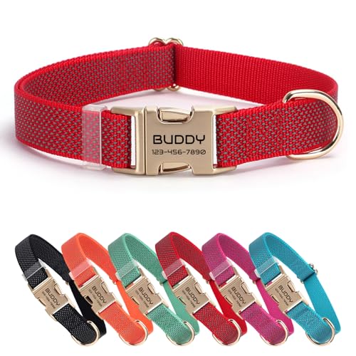 Nylon personalisiertes Haustierhalsband mit Namen, anpassbar lasergraviert, Ultra-reflektierendes Punktdesign, langlebige Metallschnalle für Hunde und Katzen - Passende Leine erhältlich (Rot) von CHRYMPETIC