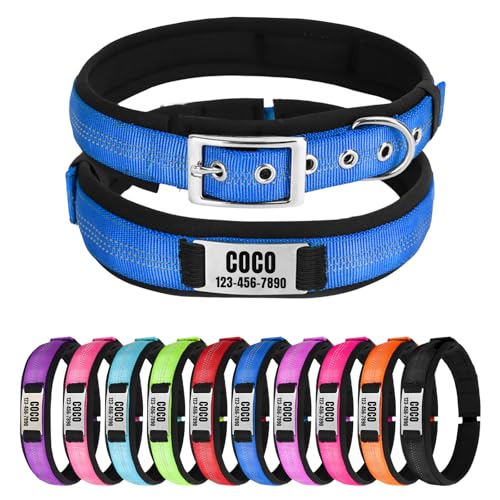 Reflektierendes Nylon-Hundehalsband mit Namen, Personalisierbar, Metallschnalle, Weich & Komfortabel - Passende Leine Erhältlich (Blau) von CHRYMPETIC