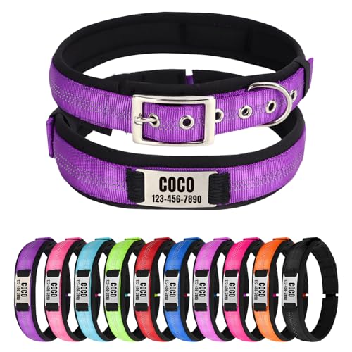 Reflektierendes Nylon-Hundehalsband mit Namen, Personalisierbar, Metallschnalle, Weich & Komfortabel - Passende Leine Erhältlich (Dunkelviolett) von CHRYMPETIC