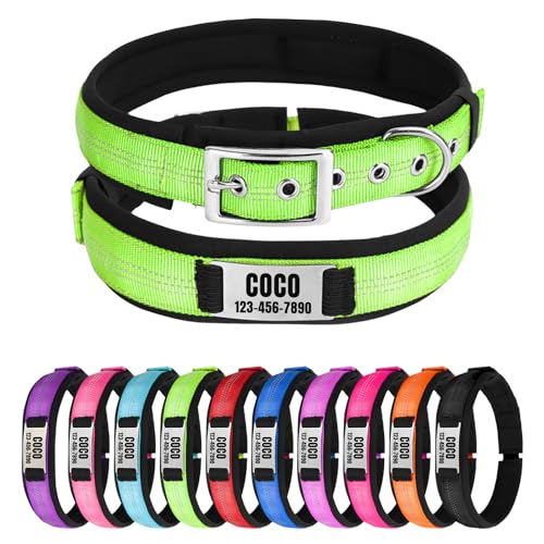 Reflektierendes Nylon-Hundehalsband mit Namen, Personalisierbar, Metallschnalle, Weich & Komfortabel - Passende Leine Erhältlich (Grün) von CHRYMPETIC