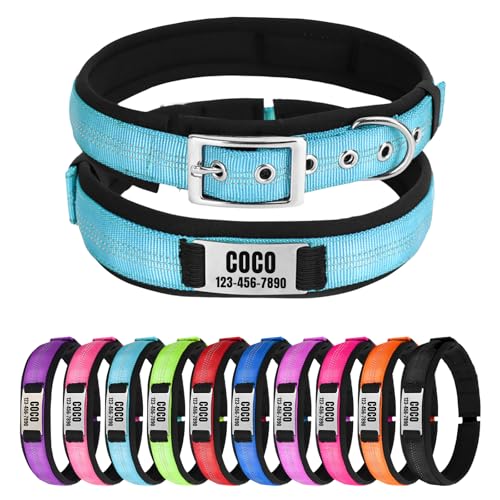 Reflektierendes Nylon-Hundehalsband mit Namen, Personalisierbar, Metallschnalle, Weich & Komfortabel - Passende Leine Erhältlich (Himmelblau) von CHRYMPETIC