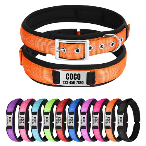 Reflektierendes Nylon-Hundehalsband mit Namen, Personalisierbar, Metallschnalle, Weich & Komfortabel - Passende Leine Erhältlich (Orange) von CHRYMPETIC