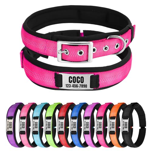 Reflektierendes Nylon-Hundehalsband mit Namen, Personalisierbar, Metallschnalle, Weich & Komfortabel - Passende Leine Erhältlich (Rosa) von CHRYMPETIC