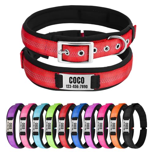 Reflektierendes Nylon-Hundehalsband mit Namen, Personalisierbar, Metallschnalle, Weich & Komfortabel - Passende Leine Erhältlich (Rot) von CHRYMPETIC