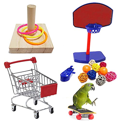 4 Stück Papageienspielzeug Papageien-Puzzle-Spielzeug zum Spielen von Papageien, Vogel Training Spielzeug Set, Kauspielzeug Vögel Spielzeug, Perfekt für Sittiche Nymphensittiche, Aras, Papageien 4 Stück Papageienspielzeug Papageien-Puzzle-Spielzeug zum Spielen von Papageien, Vogel Training Spielzeug Set, Kauspielzeug Vögel Spielzeug, Perfekt für Sittiche Nymphensittiche, Aras, Papageien von CHSEEO