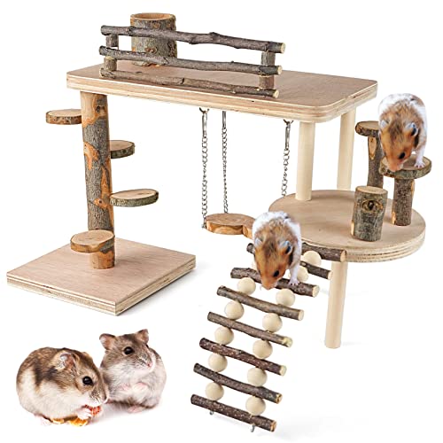 CHSEEO Hamster Spielzeug, Meerschweinchen Spielzeug, Kaninchen Zubehör, Kaninchen Spielzeug für Hamster Meerschweinchen Chinchillas Rennmäuse Zwerghamster CHSEEO Hamster Spielzeug, Meerschweinchen Spielzeug, Kaninchen Zubehör, Kaninchen Spielzeug für Hamster Meerschweinchen Chinchillas Rennmäuse Zwerghamster von CHSEEO