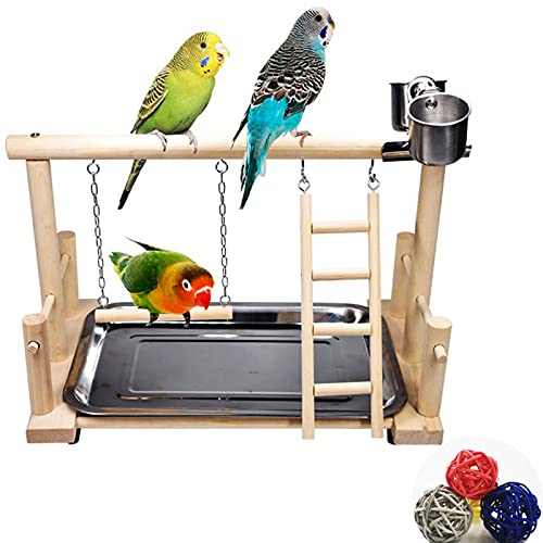 CHSEEO Vogelspielplatz für Papageien, Parrot Playstand Papagei Spielplatz mit Futterschalen, Spielzeug, Tablett aus Edelstahl, für Nymphensittiche Vögel Kanarien Wellensittich, 36 x 23 x 25 cm von CHSEEO