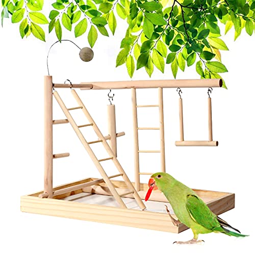CHSEEO Vogelstange aus natürlichem Holz, Haustierpflege, Vogelständer für Füße und Schnabelsicherheit, Papageienspielzeug mit hängendem Schaukelspielzeug, Fallschale für kleine mittelgroße Vögel CHSEEO Vogelstange aus natürlichem Holz, Haustierpflege, Vogelständer für Füße und Schnabelsicherheit, Papageienspielzeug mit hängendem Schaukelspielzeug, Fallschale für kleine mittelgroße Vögel von CHSEEO