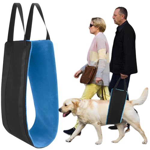 CHSG Hundegewichtband, Unterstützung und Schutz Bieten, Verstellbares Hundegeschirr, Stütz und Rehabilitationsgeschirr für schwache Hinterbeine, behinderten und nach Rehabilitation (Blau) von CHSG