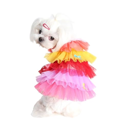 Atmungsaktives Netz-Hunde-Prinzessinnenkleid – niedlicher Haustier-Kuchenrock für kleine Hunde und Katzen, Sommer-Welpen-Shirt mit Schleife (B, L) von CHUANYGU